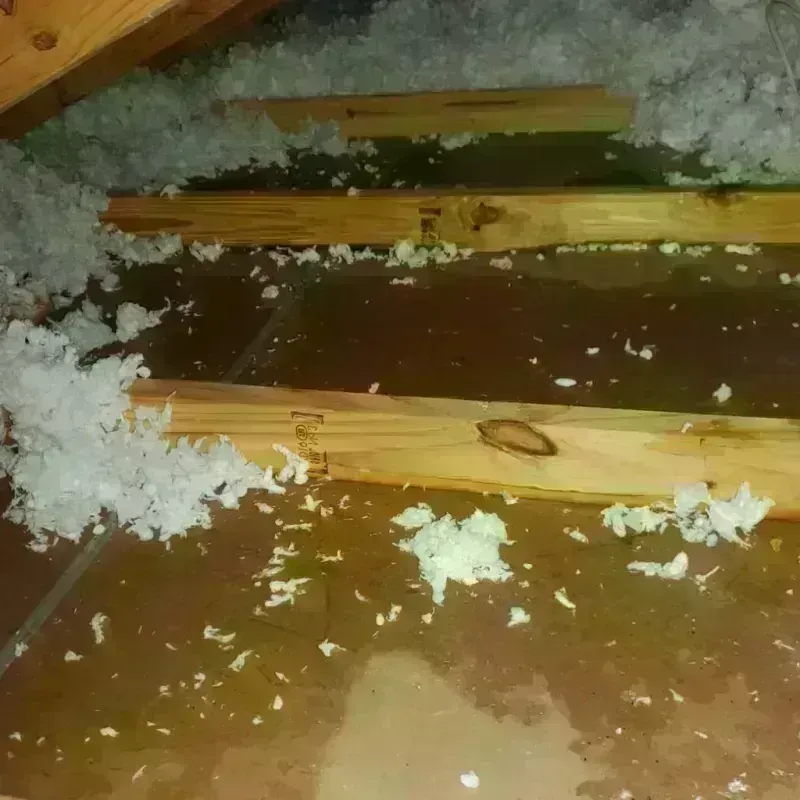 Best Attic Water Damage Service in Knott County, KY